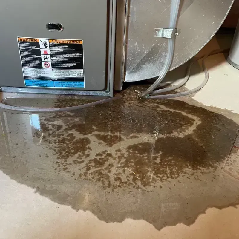 Appliance Leak Cleanup in City of Salem, VA